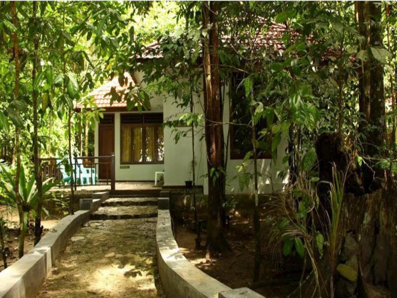 วายโว ไดฟ์ รีสอร์ต ราจา อัมพัต Hotel Rabia ภายนอก รูปภาพ