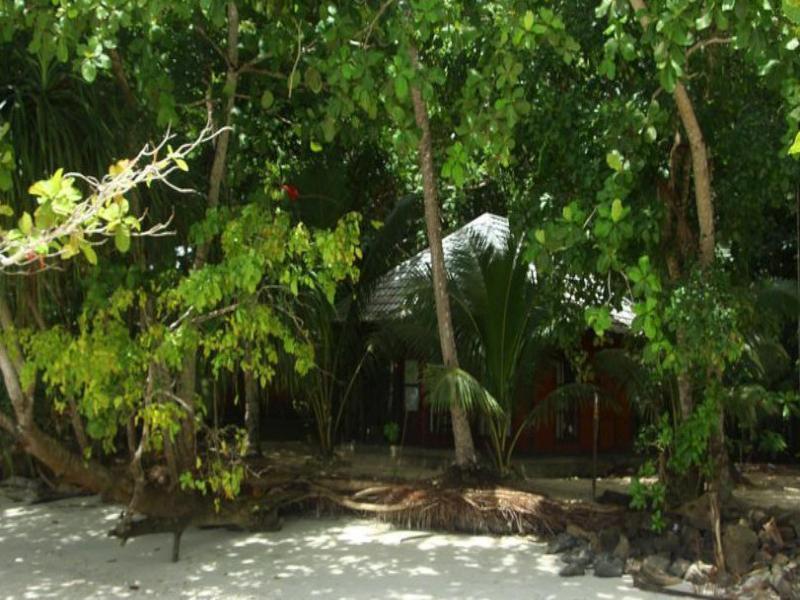 วายโว ไดฟ์ รีสอร์ต ราจา อัมพัต Hotel Rabia ภายนอก รูปภาพ
